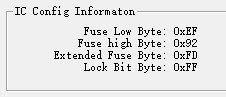 IC Config Information